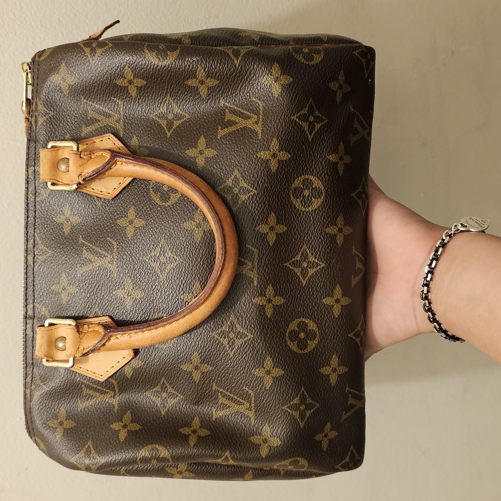 Louis Vuitton Brown and Tan Mini Bag with Iconic Monogram